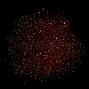 Luminous Glass Seed Beads X1-SEED-A033-07J-5