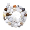 Natural White African Opal Beads Strands G-K245-A18-05-2