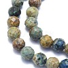 Natural Chrysocolla Beads Strands G-K310-A16-8mm-3