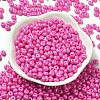 Baking Paint Luster Glass Seed Beads X1-SEED-B001-04A-05-2