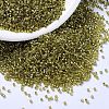 MIYUKI Delica Beads X-SEED-J020-DB2164-1