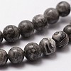 Natural Map Stone/Picasso Stone/Picasso Jasper Beads Strands G-G735-27-8mm-3