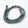 Natural Moss Agate Bead Strands G-G735-62-8mm-2
