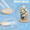 Glass Dome Cover DJEW-WH0043-36-4