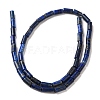 Natural Lapis Lazuli Beads Strands G-B091-A15-01-3