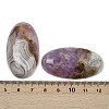 Natural Amethyst Lace Agate Pendants G-A244-12A-03-3