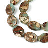 Natural Aqua Terra Jasper Beads Strands G-S366-015B-3
