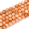 Dyed Natural White Jade Beads Strands G-T139-4mm-60-06-4