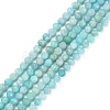 Natural Amazonite Beads Strands G-P500-01B-01-1