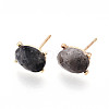 Natural Labradorite Stud Earrings EJEW-N057-01B-1