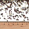 Baking Paint Glass Seed Beads SEED-S042-05B-55-4