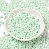 6/0 Opaque Baking Paint Glass Seed Beads X1-SEED-M012-02A-15-2