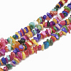 Freshwater Shell Beads Strands X-SHEL-S270-01-1