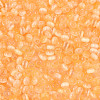 Glass Seed Beads X-SEED-N007-27E-3