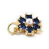 Rack Plating Brass Micro Pave Cubic Zirconia Charms KK-A160-22I-G-4