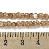 Natural White Shell Dyed Beads Strands BSHE-Z005-03A-4