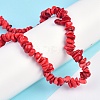 Natural Magnesite Beads Strands TURQ-P001-02A-13-5