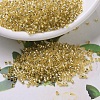 MIYUKI Delica Beads SEED-MY11-DB0042-1