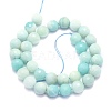 Natural Amazonite Beads Strands G-K310-A02-10mm-2