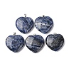 Natural Sodalite Pendants G-Z113-01P-1