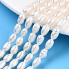 Natural Cultured Freshwater Pearl Beads Strands PEAR-N012-04N-1