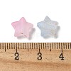 Frosted Acrylic Charms OACR-M023-04G-3