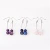 Natural Gemstone Bead Dangle Earrings EJEW-JE02094-1