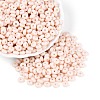 Opaque Colours Glass Seed Beads SEED-N007-39A-08-1