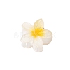 Plastic Claw Hair Clips PW-WG07B2B-01-1