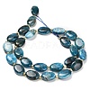 Natural Apatite Beads Strands G-H005-A03-02-3