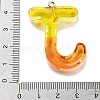 Resin Pendant FIND-Q107-01J-01-3