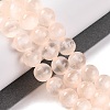 Natural Selenite Beads Strands G-C142-01A-08-2