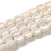 Electroplate Glass Beads Strands EGLA-D031-01J-1