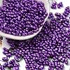 Baking Paint Glass Seed Beads SEED-L011-12A-04-1