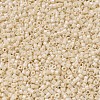 MIYUKI Delica Beads SEED-JP0008-DB0204-4