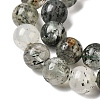 Natural Fuchsite Beads Strands G-K285-40D-1-4