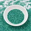 MIYUKI Delica Beads SEED-JP0008-DB1813-2