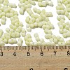 Macaron Color Opaque Frosted Glass Seed Beads SEED-K009-12B-15-4