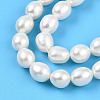 Natural Cultured Freshwater Pearl Beads Strands PEAR-N012-07Z-01-4