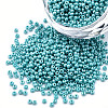 11/0 Czech Opaque Glass Seed Beads SEED-N004-003B-30-1