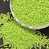 6/0 Glass Seed Beads SEED-J014-F6-44-1