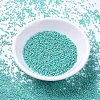 MIYUKI Delica Beads SEED-X0054-DB0166-3