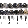 Natural Iolite Beads Strands G-A097-A14-09-5