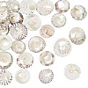 Natural Spiral Shell Beads SSHEL-NB0001-15-1