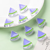 Transparent Enamel Acrylic Beads TACR-S155-001J-6