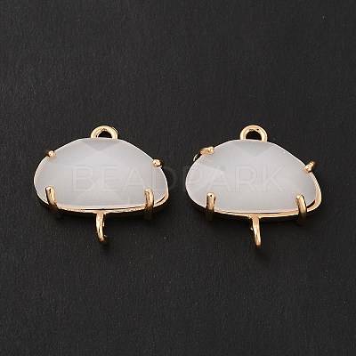 K9 Glass Connector Charms KK-E071-24KCG-03-1