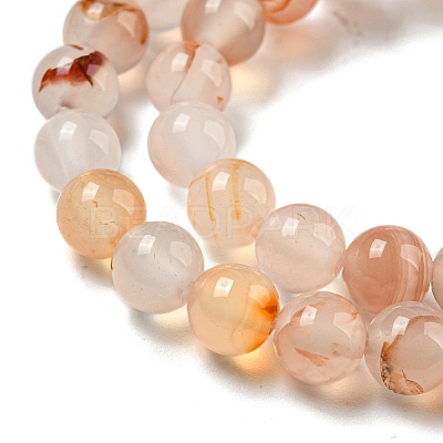 Natural Red Dendritic Agate Beads Strands G-A232-A02-02-1