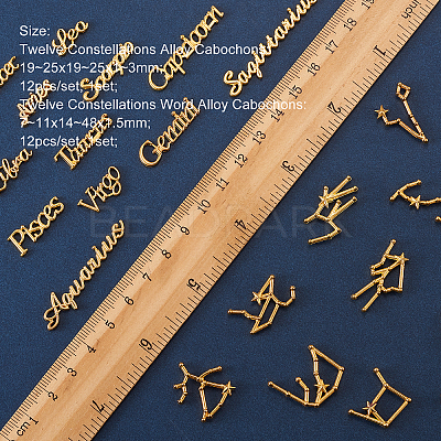 Twelve Constellations Alloy Cabochons DIY-CJ0001-29-1