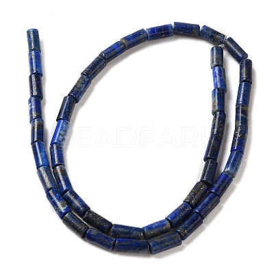 Natural Lapis Lazuli Beads Strands G-B091-A15-01-1