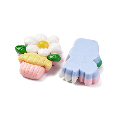 Opaque Resin Cabochons RESI-R455-01R-1